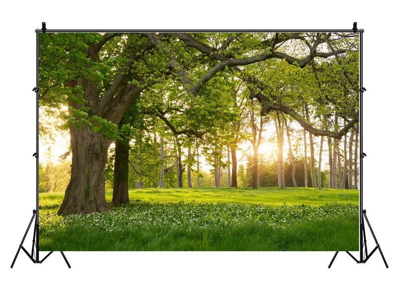 Leowefowa 7X5FT Spring Backdrop Rural Forest Trees Backdrops for Photography Blooming Flowers Green Grassland Nature Vinyl Photo Background Kids Adults Outdoor Travel Portraits Studio Props - Image 3